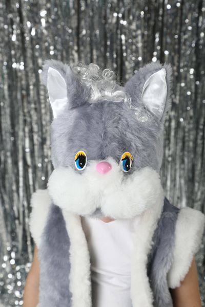 Костюм сірого кота для хлопчика gray cat фото
