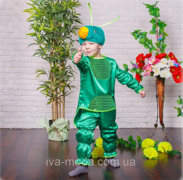 Карнавальный костюм кузнечика kuz-iv фото