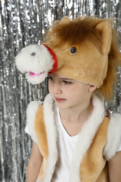 Дитячий новорічний костюм коня a horse фото