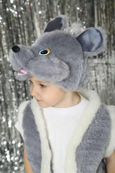 Детский новогодний костюм мышки the mouse фото